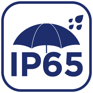 IP65