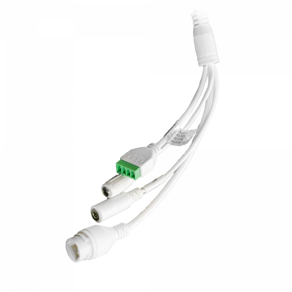 O4BDD1M - Image 14